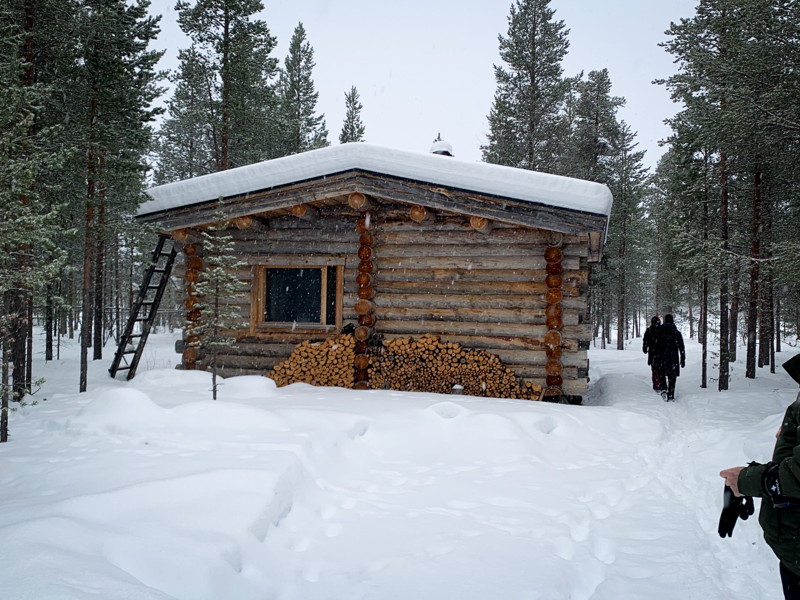 Log Cabin Winter